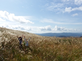 ススキ 生石高原 山コーヒー 生石ヶ峰