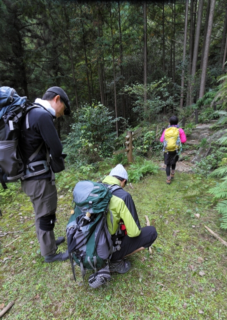 珍スポット 珍 コーヒー ゲスト 金原みわ