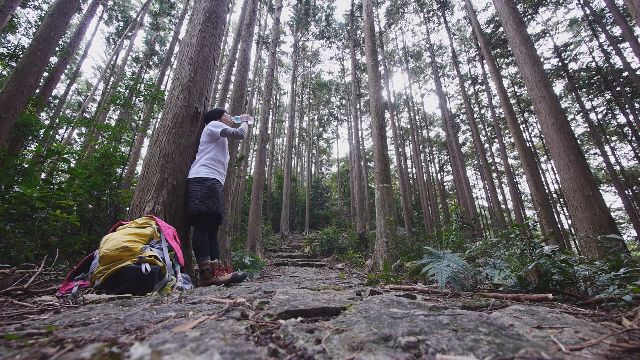珍スポット 珍 コーヒー ゲスト 金原みわ