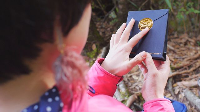 珍スポット 珍 コーヒー ゲスト 金原みわ