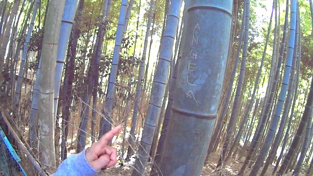 京都 一周 トレイル 山コーヒー 伏見稲荷 蹴上