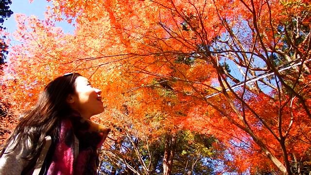 京都 一周 トレイル 山コーヒー 伏見稲荷 蹴上