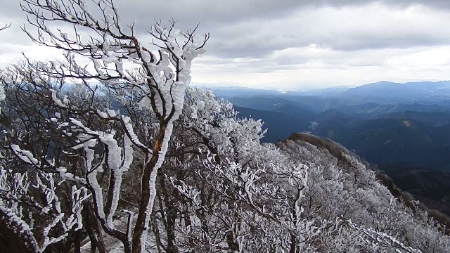 霧氷 高見山 雪見 エスプレッソ