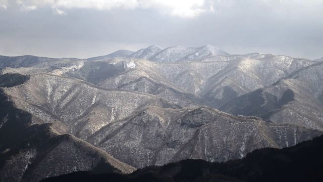 霧氷 高見山 雪見 エスプレッソ
