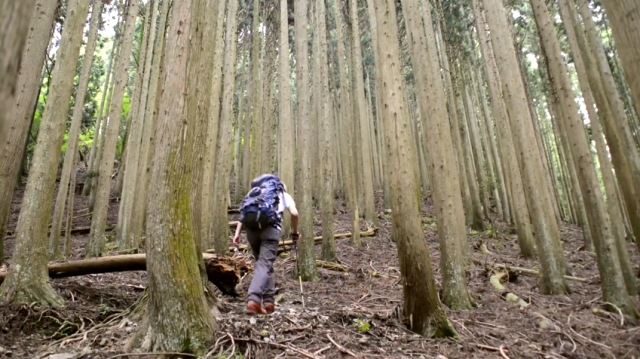霧の武奈ヶ岳でカフェ・ナポレターナ