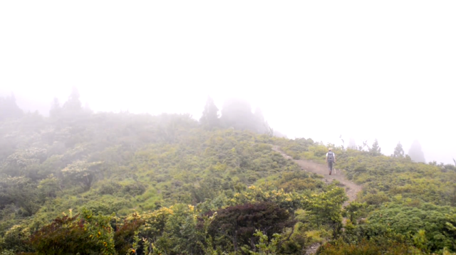 霧の武奈ヶ岳でカフェ・ナポレターナ